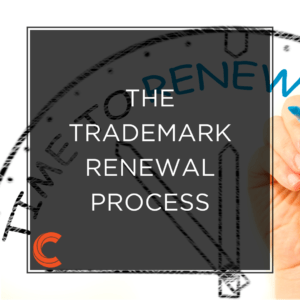 View of The Trademark Renewal Process - Carbon Law Group