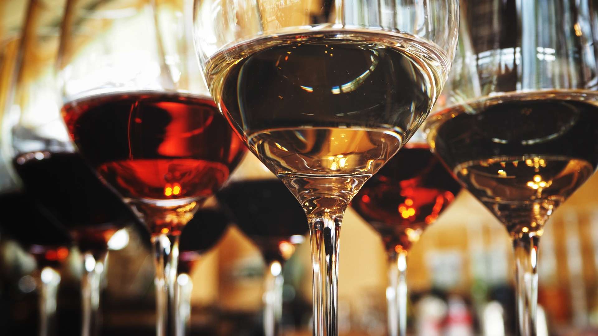Close-up of red and white wine glasses lined up in a row