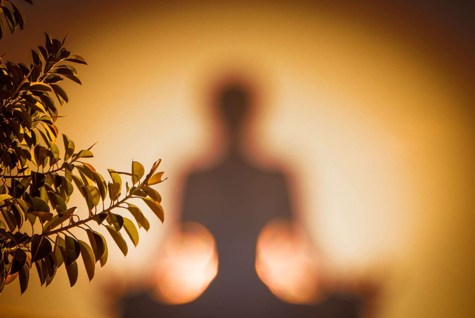 A softly blurred silhouette of a person meditating in warm golden light, framed by leafy branches, evoking the daily mindfulness practice behind Pankaj Raval's approach to running a law firm.